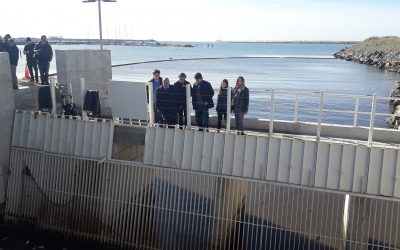 El Intendente recorrió la obra “Arroyo del Barco”